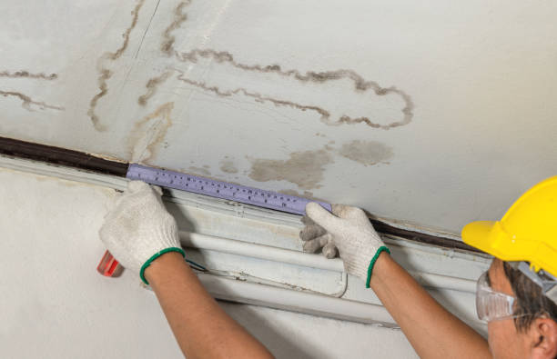 Reliable Mold Remediation contractor in Millfield, OH by Water Damage Irwin